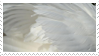 feathers stamp