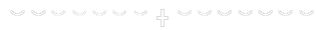white cross div
